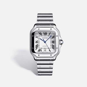 SANTOS DE CARTIER WATCHES WSSA0018-39.8MM