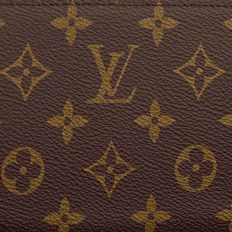 LOUIS VUITTON M60017 ZIPPY WALLET - Image 4